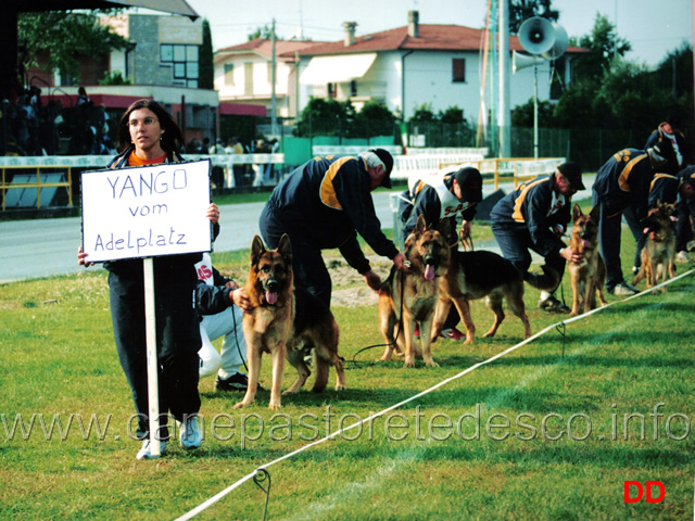 gruppo-di-riproduzione-di-yango-adelplatz.jpg - Gruppo di Riproduzione di Yango Adelplatz