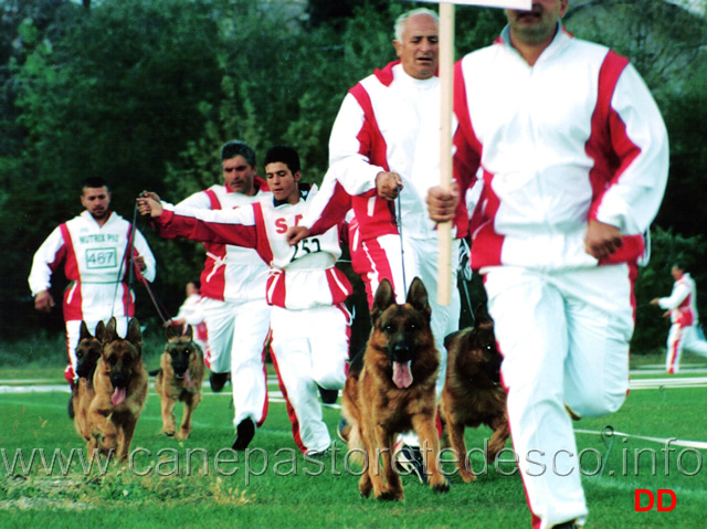 gruppo-di-riproduzione-dux-valcuvia.jpg - Gruppo di riproduzione di Dux della Valcuvia