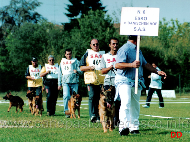 gruppo-di-riproduzione-esko-daenischen-hof.jpg - Gruppo di riproduzione di Esko Daenischen Hof