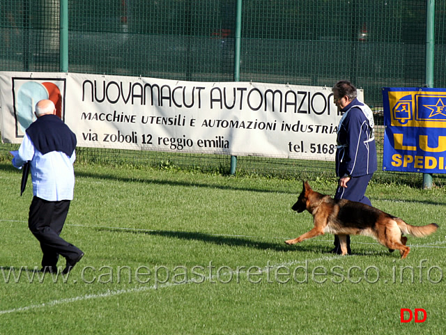 aydin-di-casa-ines.jpg - Aydin di Casa Ines 15 Ecc conduttore Oreste Licata