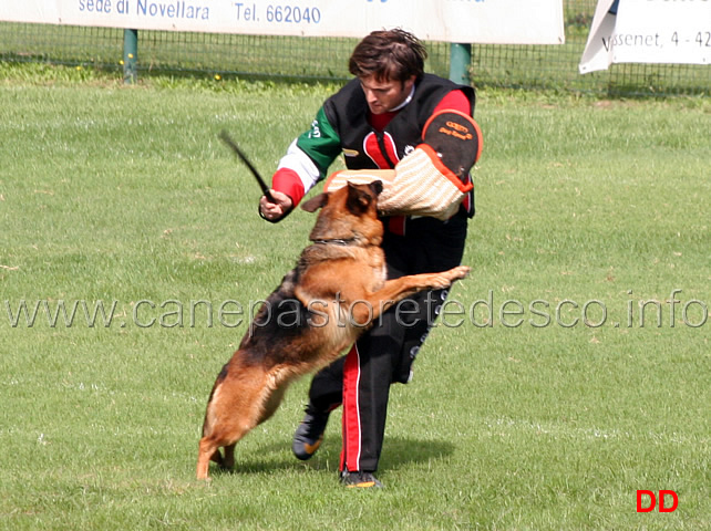 frisbi-di-ca-san-marco.jpg - Frisbi di Ca' San Marco 29 Ecc 