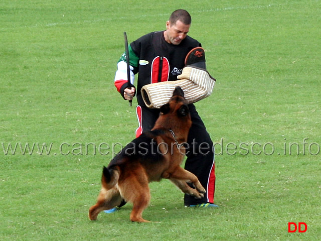 paer-hasenborn-06.jpg - Paer Hasenborn (4-4) Sieger 