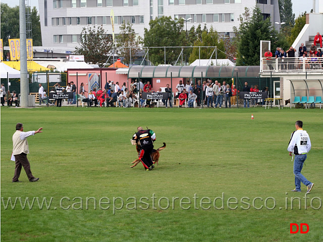 paer-hasenborn.jpg - Paer Hasenborn (4-4) Sieger conduttore Francesco Achaus 