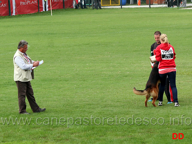 pizzarro-bad-boll-02.jpg - Pizzarro von Bad Boll (3-4)  9 Auslese 