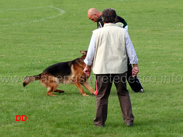 quan-goldenen-strand-02.jpg - Quan von der goldenen Strand (4-4) 15 Ecc 