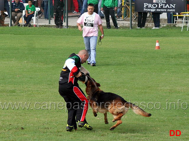 quan-goldenen-strand-04.jpg - Quan von der goldenen Strand (4-4) 15 Ecc conduttore Michele Fortunato 