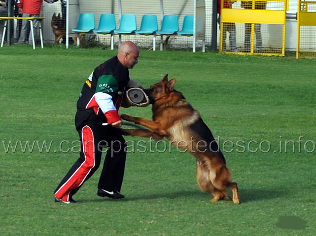 sony-dei-colli-storici-02.jpg - Sony dei Colli Storici (3-4) 6 Auslese 
