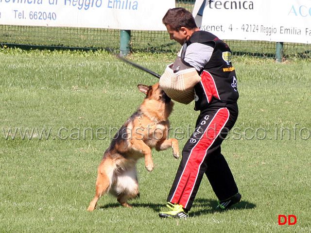 uma-della-valle-d-itria-06.jpg - Uma della Valle d'Itria (4-5) 25 Ecc 
