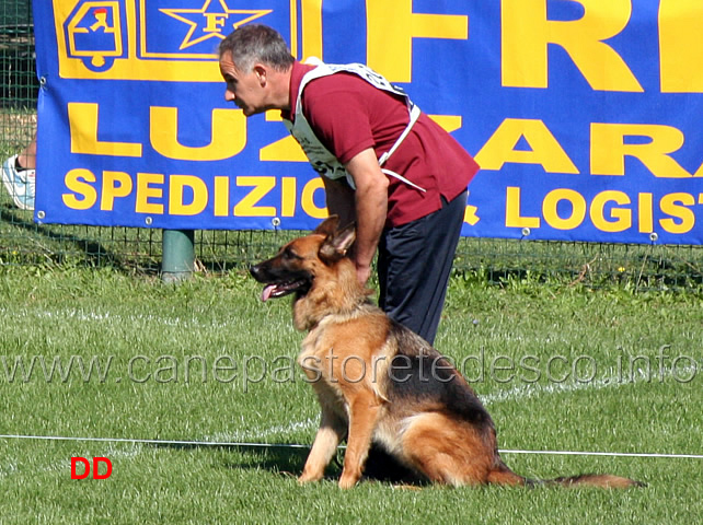 uma-della-valle-d-itria.jpg - Uma della Valle d'Itria (4-5) 25 Ecc conduttore Pino Bernardi 