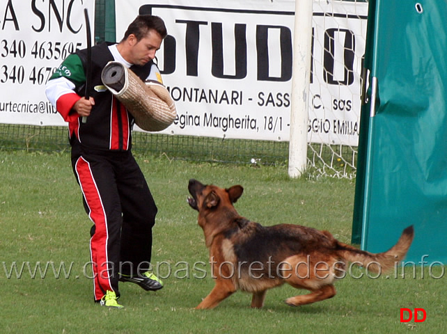 ussy-dell-alto-pino-03.jpg - Ussy dell' Alto Pino 12 Ecc 
