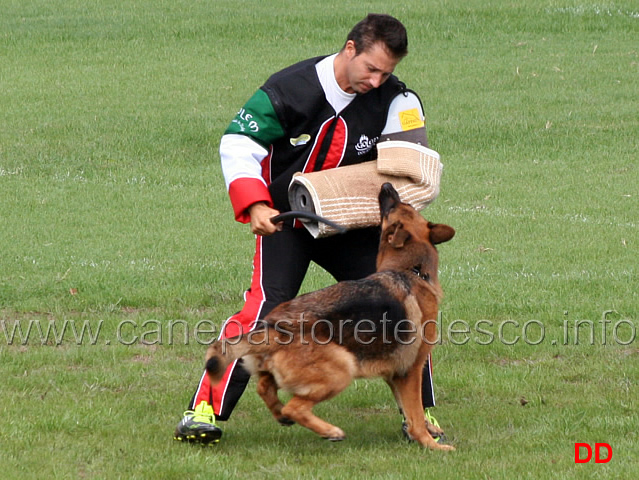 ussy-dell-alto-pino-06.jpg - Ussy dell' Alto Pino 12 Ecc 