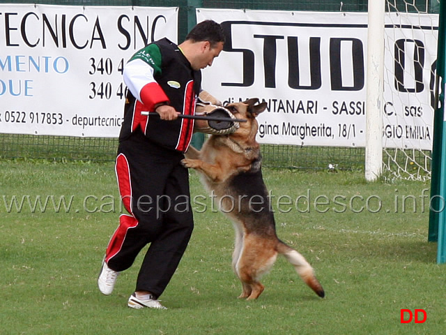 uva-dei-lupi-della-maddalena-03.jpg - Uva dei Lupi della Maddalena 11 Ecc 