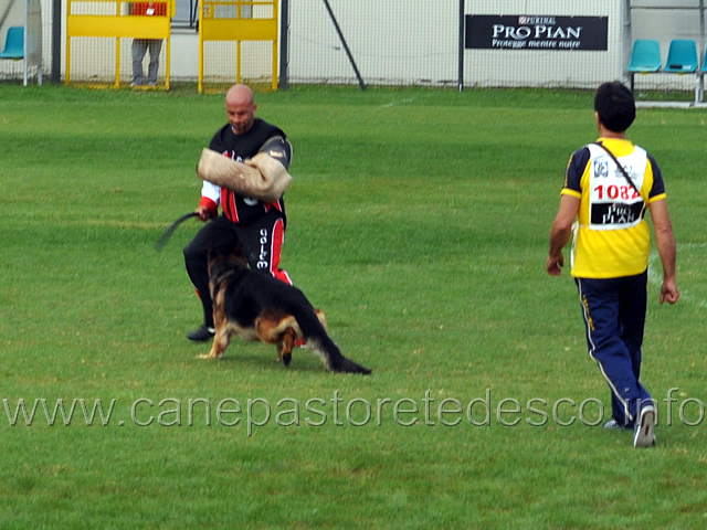 vargo-di-zenevredo-02.jpg - Vargo di Zenevredo (4-4) conduttore Ottavio Caldin (ritirato)