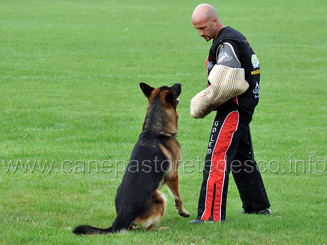 vargo-di-zenevredo-06.jpg - Vargo di Zenevredo (4-4)  (ritirato)