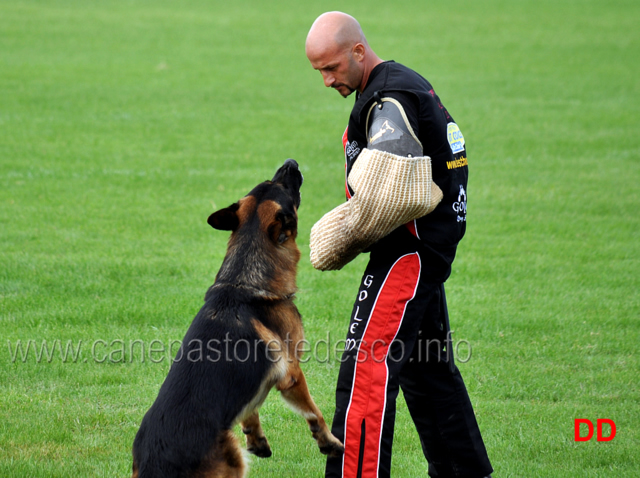 vargo-di-zenevredo-08.jpg - Vargo di Zenevredo (4-4)  (ritirato)