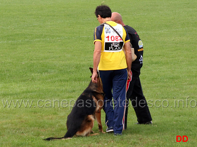vargo-di-zenevredo-10.jpg - Vargo di Zenevredo (4-4) conduttore Ottavio Caldin (ritirato)