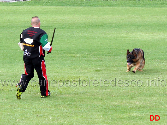vargo-di-zenevredo-13.jpg - Vargo di Zenevredo (4-4) (ritirato)