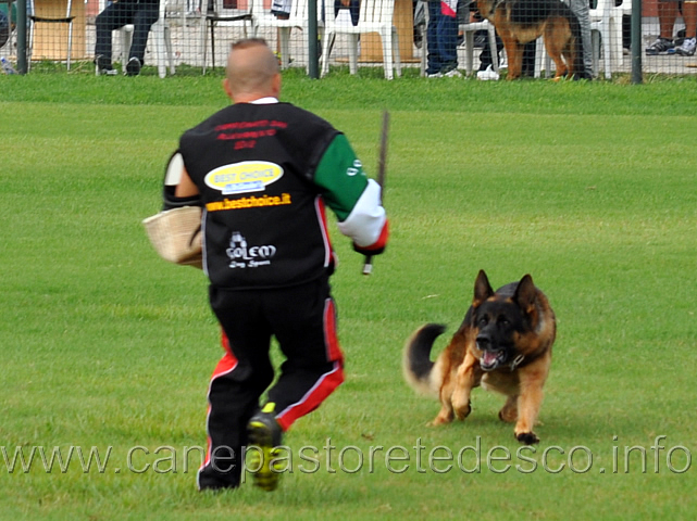 vargo-di-zenevredo-14.jpg - Vargo di Zenevredo (4-4) (ritirato)