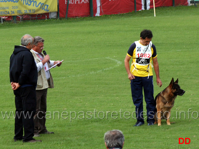 vargo-di-zenevredo-19.jpg - Vargo di Zenevredo (4-4) conduttore Ottavio Caldin (ritirato)