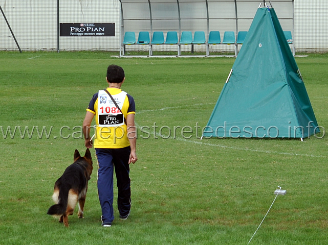 vargo-di-zenevredo.jpg - Vargo di Zenevredo (4-4) conduttore Ottavio Caldin (ritirato)