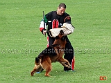 paer-hasenborn-06