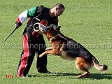renzo-holtkamper-see-04