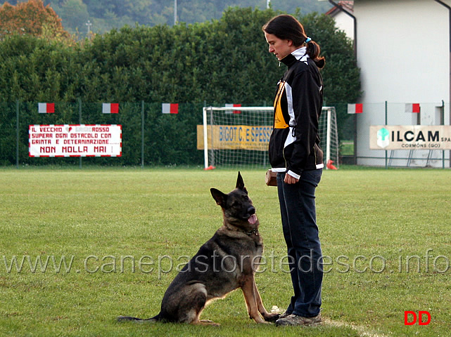 barbara-khuen-con-hex-donauvorstatd-03.jpg - Barbara Khuen con Hex von der Donauvorstadt (B punti 84)