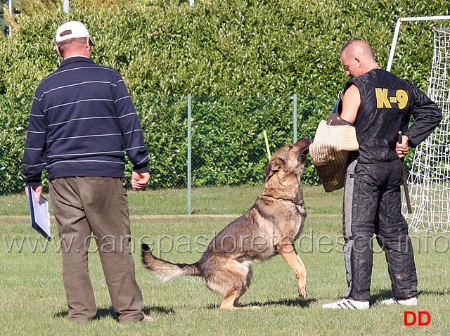 cash-vom-wolfsweiher-03.jpg - Cash Wolfsweiher (C punti 92)