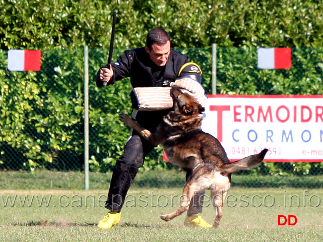 cash-vom-wolfsweiher-05.jpg - Cash Wolfsweiher (C punti 92)