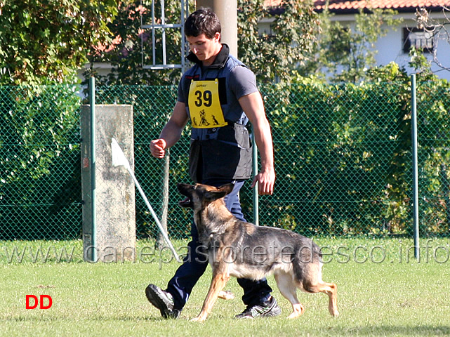 enrico-barbanera-con-quendy-della-decima-mas-02.jpg - Enrico Barbanera con Quendy della Decima Mas (B punti 83)