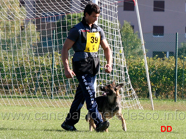 enrico-barbanera-con-quendy-della-decima-mas-03.jpg - Enrico Barbanera con Quendy della Decima Mas (B punti 83)