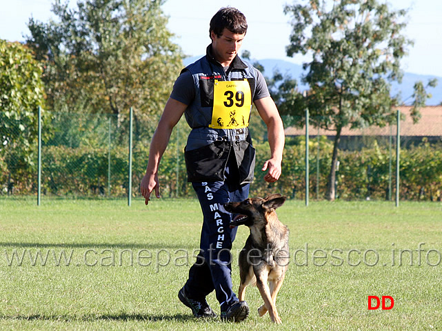 enrico-barbanera-con-quendy-della-decima-mas-08.jpg - Enrico Barbanera con Quendy della Decima Mas (B punti 83)