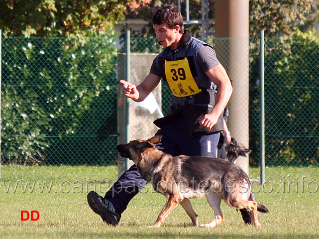enrico-barbanera-con-quendy-della-decima-mas-12.jpg - Enrico Barbanera con Quendy della Decima Mas (B punti 83)