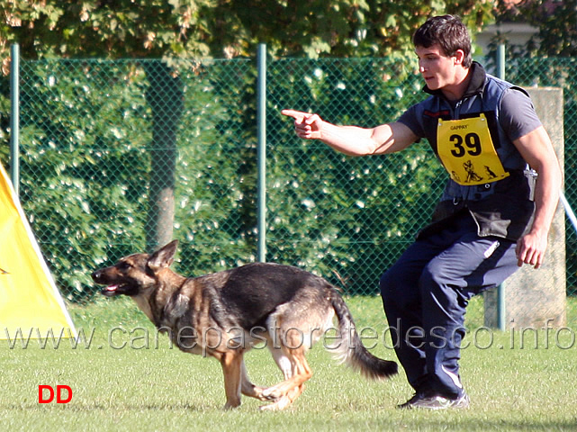 enrico-barbanera-con-quendy-della-decima-mas-13.jpg - Enrico Barbanera con Quendy della Decima Mas (B punti 83)