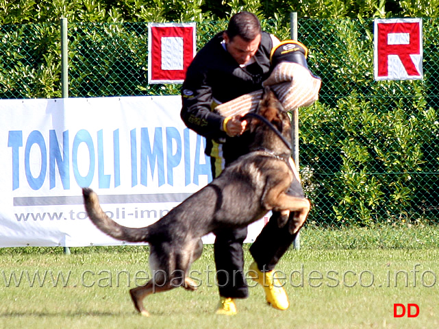 ex-30.jpg - Ex (C punti 92)