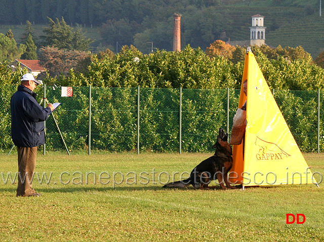 fox-02.jpg - Fox (C punti 79)