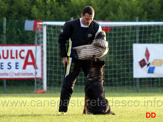 fox-09.jpg - Fox (C punti 79)