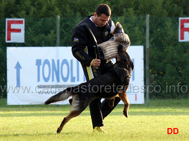 fox-12.jpg - Fox (C punti 79)