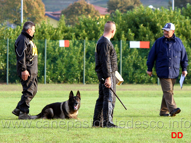 giovanni-bruno-con-querry-di-oroval-03.jpg - Giovanni Bruno con Querry di Oroval (Sq.)