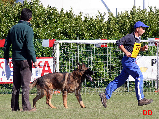 giuseppe-capitanio-con-mushu-di-oroval-04.jpg - Giuseppe Capitanio con Mushu di Oroval (B punti 72)