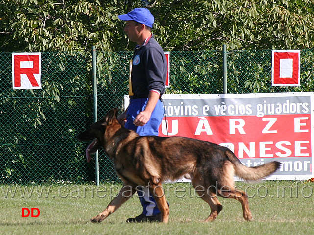 giuseppe-capitanio-con-mushu-di-oroval.jpg - Giuseppe Capitanio con Mushu di Oroval (B punti 72)