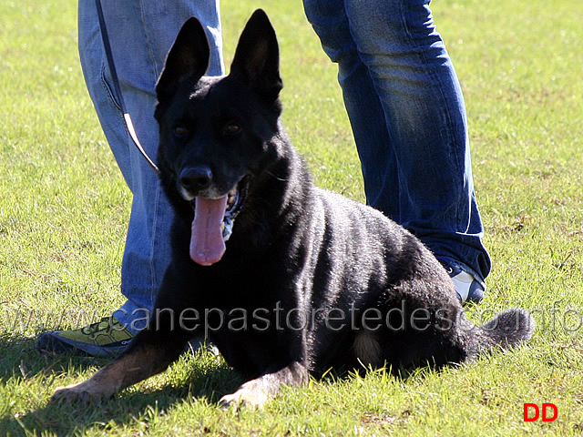 grimson-wonnegauner-21.jpg - Grimson Wonnegauner (C punti 87)