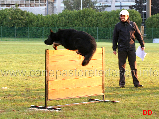 grimson-wonnegauner.jpg - Grimson vom Wonnegauner (B punti 90)