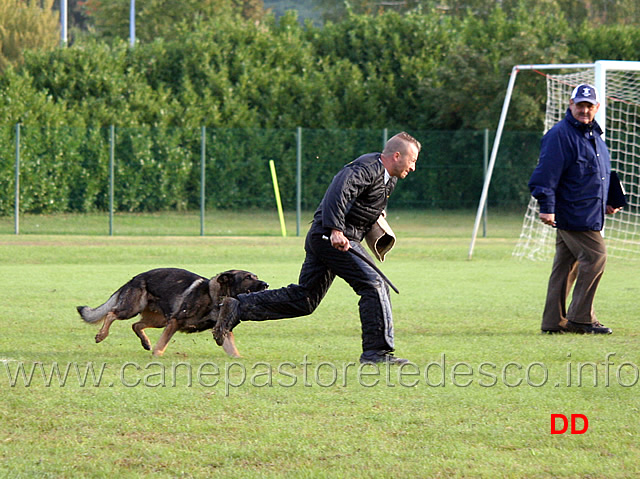 iago-di-casa-nosella-04.jpg - Iago di Casa Nosella (C punti 81)