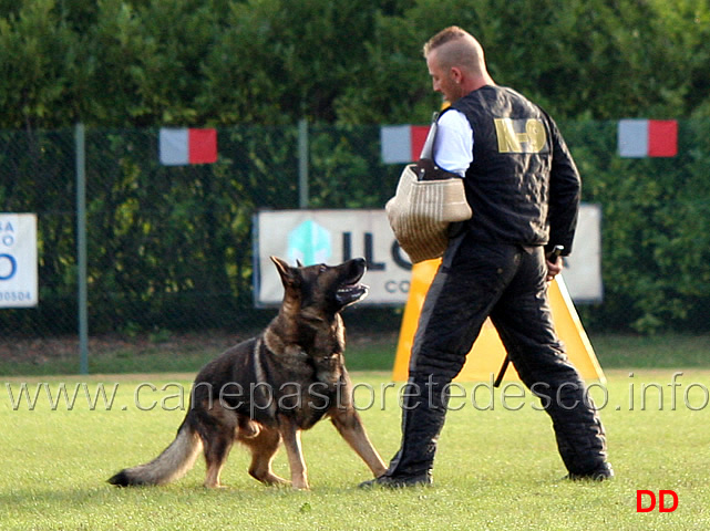iago-di-casa-nosella-08.jpg - Iago di Casa Nosella (C punti 81)