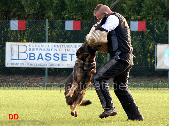 iago-di-casa-nosella-11.jpg - Iago di Casa Nosella (C punti 81)