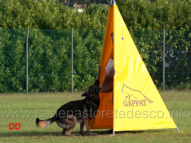 ivan-di-casa-libardi-04.jpg - Ivan di Casa Libardi (C punti 95)