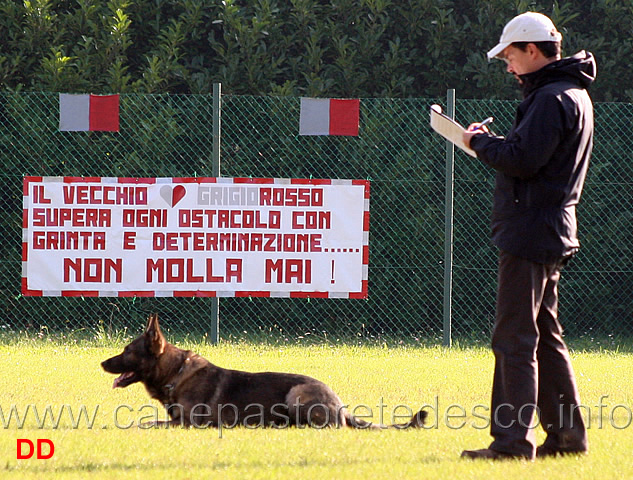 iwan-di-casa-nosella.jpg - Iwan di Casa Nosella (B punti 89)