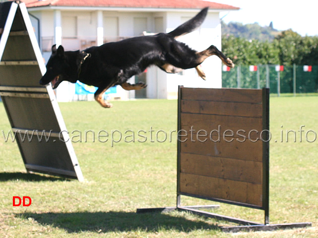 kovari-zuzo-kelli-03.jpg - Kovari Zuzo Kelli (B punti 78)