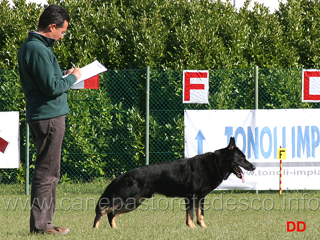 kovari-zuzo-kelli.jpg - Kovari Zuzo Kelli (B punti 78)